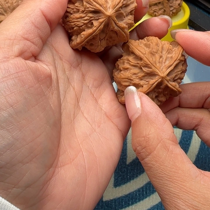 核桃文玩核桃四棱