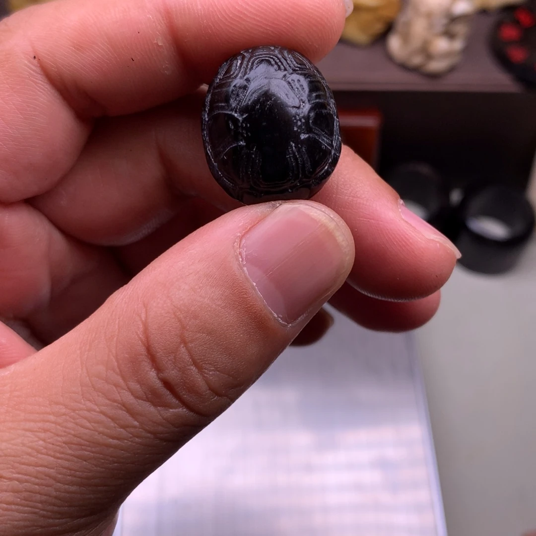 驼骨其他好看又好看