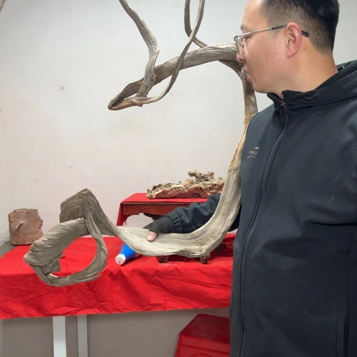 益****香榧木客服18832259591