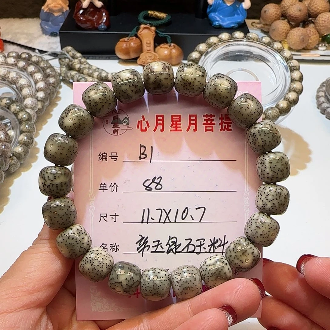 心月星月菩提一号B1