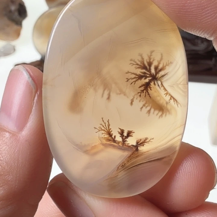 玛瑙/玉髓未镶嵌珠宝半成品