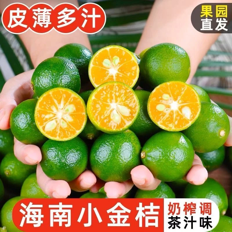 正宗海南小金桔新鲜青皮青金桔当季水果小青桔清香柠檬奶茶店专用