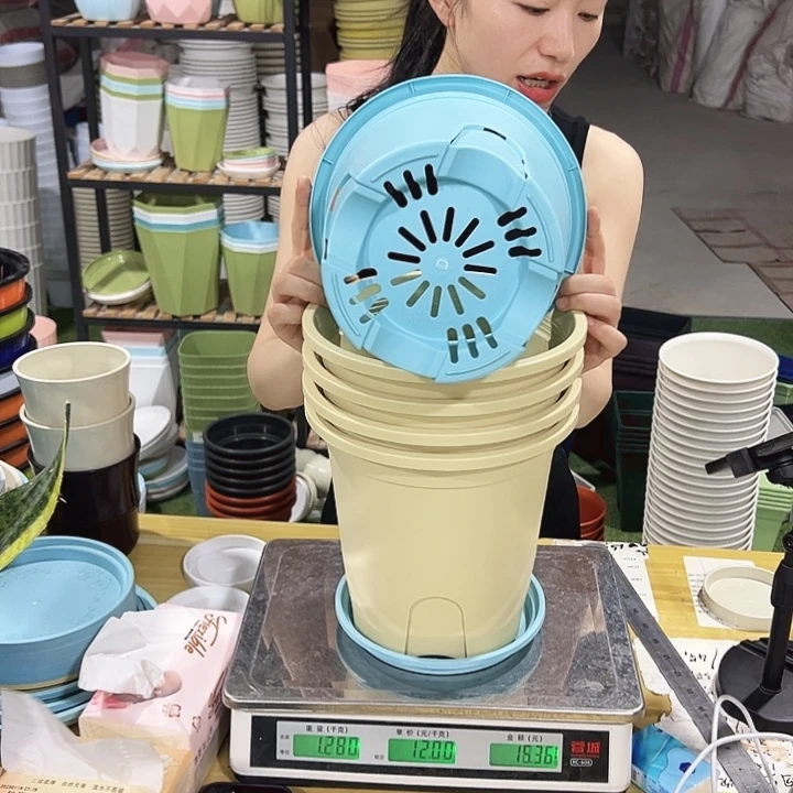 圆形控根口21高21混色5个带托