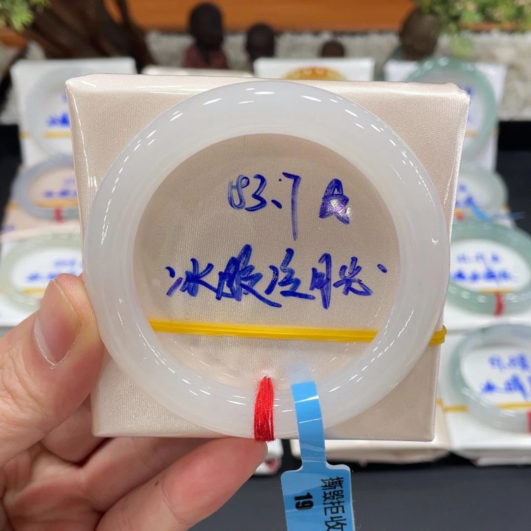 未镶嵌手镯翡翠翡翠