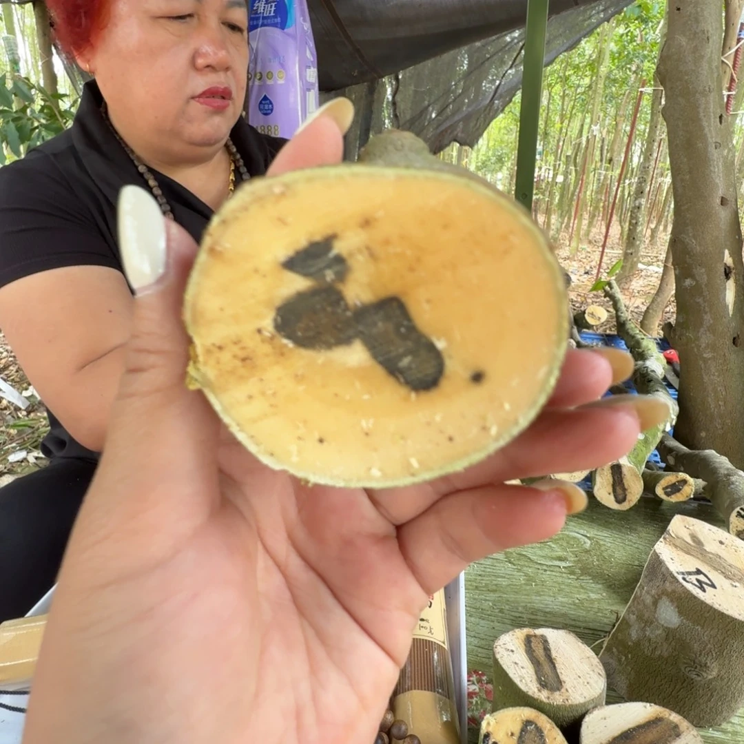 天***真线香奇楠沉香原木
