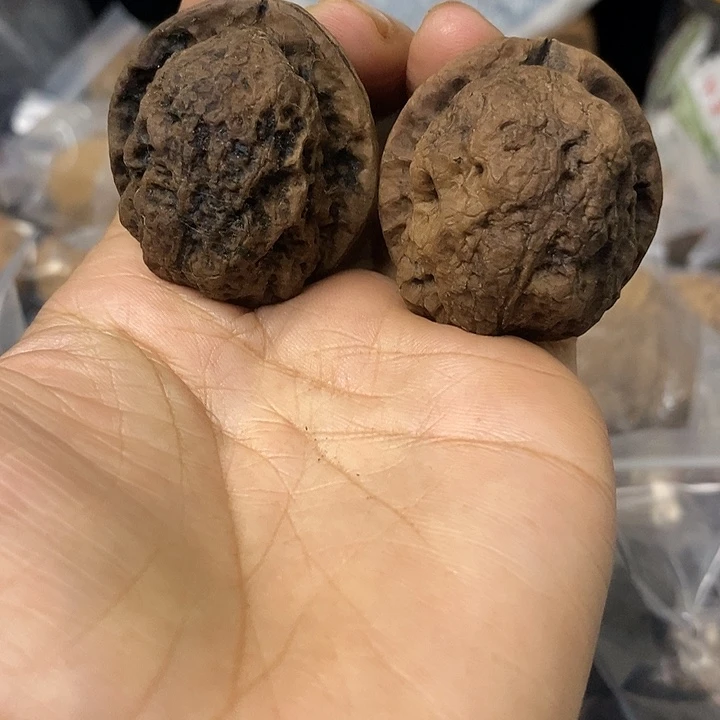 核桃云南铁核桃基地88