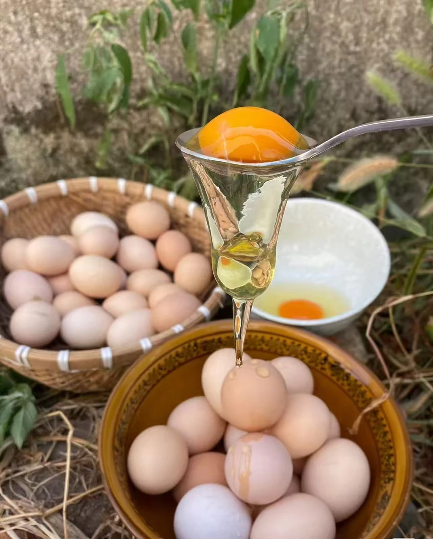 湘西农家五谷散养鸡蛋农户散养跑山鸡营养美味