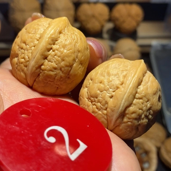 核桃金龟子核桃尺寸31