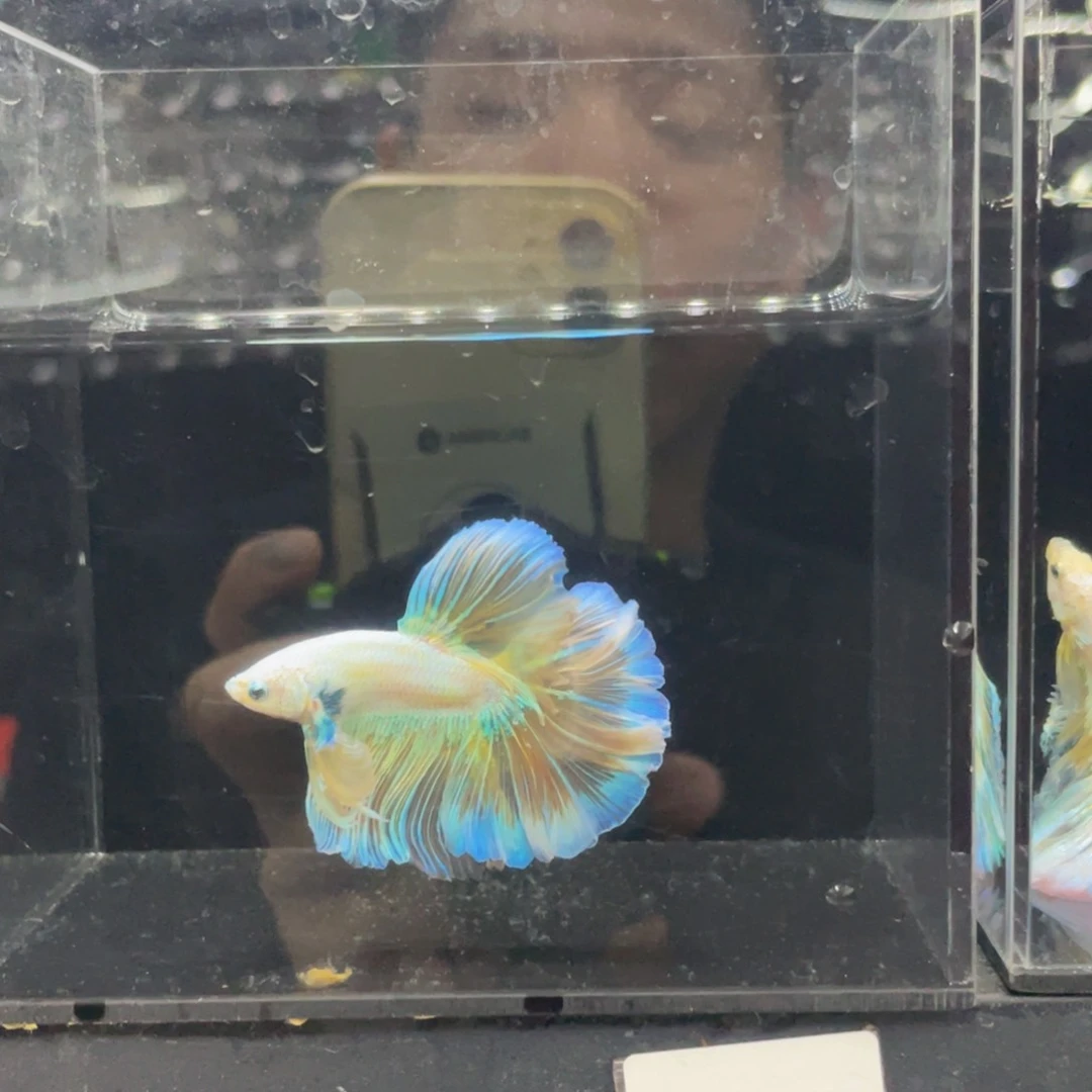 0***0海水哈哈哈哈哈哈哈哈哈