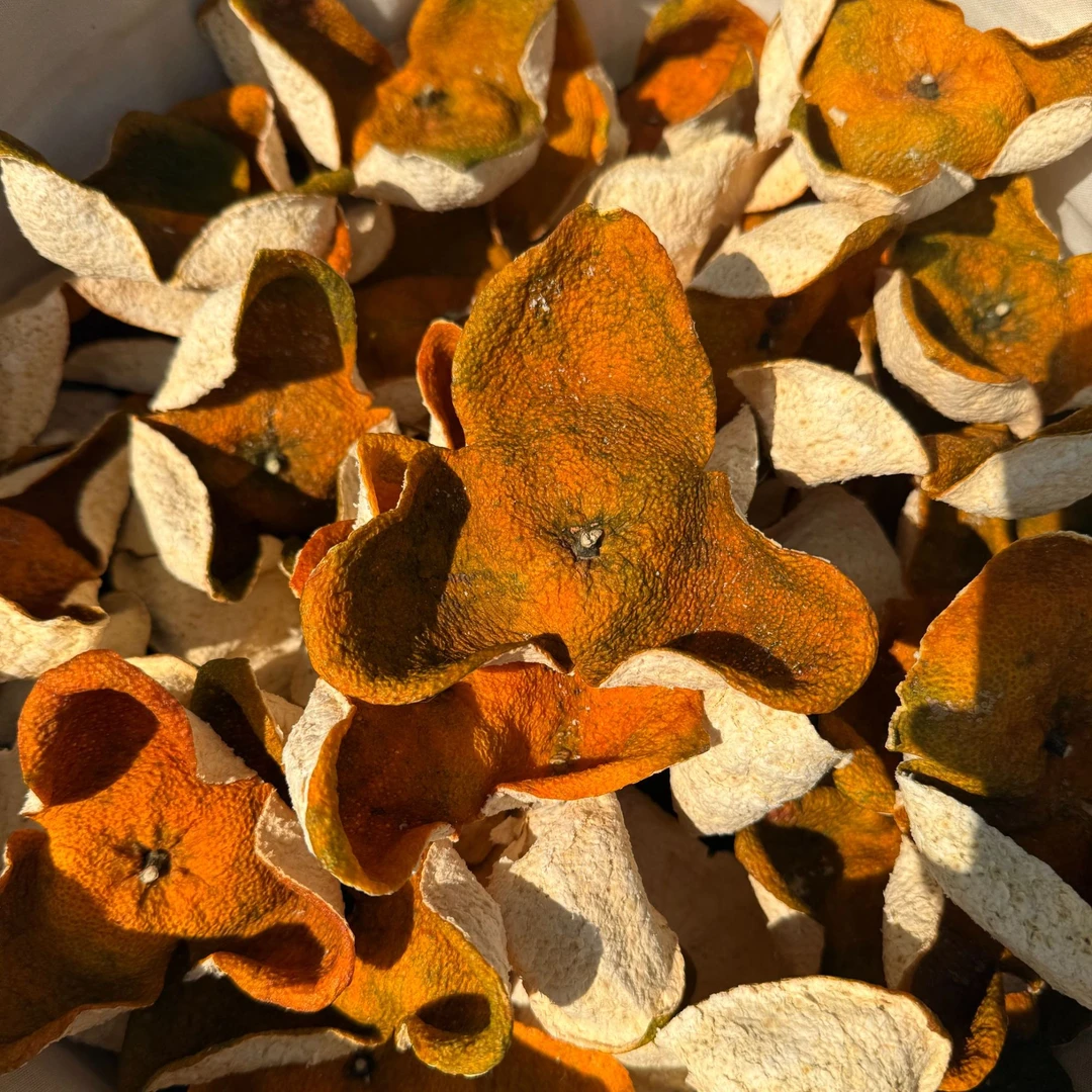 【大元宝】2025年梅江上塞口围圈枝二红转大红正宗新会新皮送礼收藏