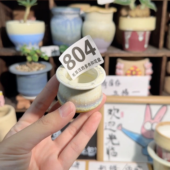 804！口3 默认微瑕 五搭一