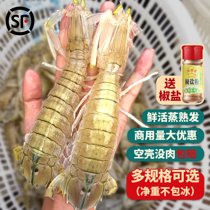 皮皮虾超大鲜活蒸熟冷冻赖尿虾虾姑爬爬虾