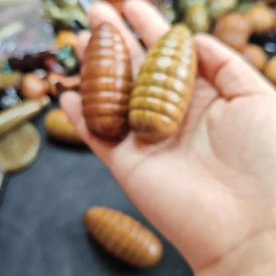 果***果香榧木绿檀沙漠铁各一个