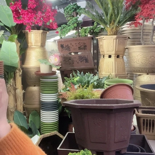 复合盆景制作方法