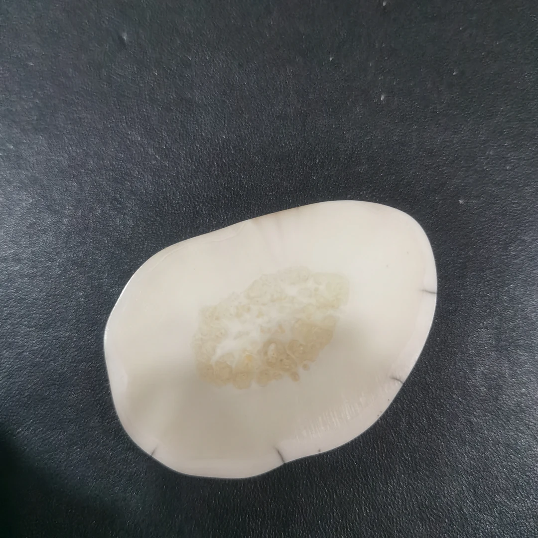猛犸虬饼子kk839