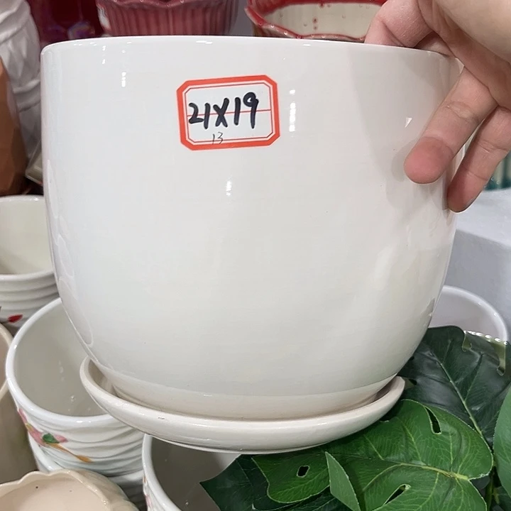 花盆花盆花盆花盆花盆花盆花盆