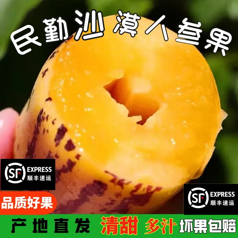 甘肃民勤沙漠人参果净重3/5/8斤（单果150-400g） 坏果包赔
