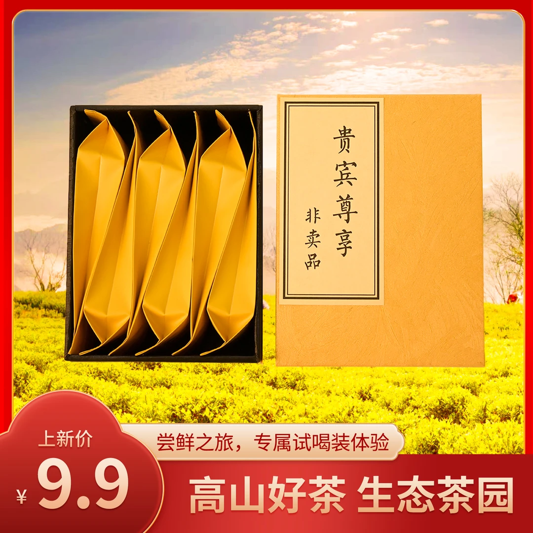 天台黄茶中黄一号茶叶新茶绿茶正宗传统工艺高山茶糯香兰花香耐泡