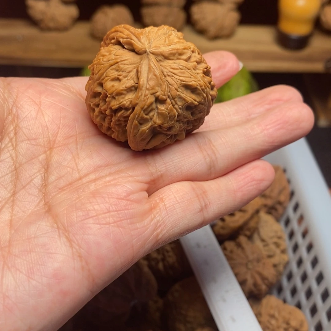 文***舞把件文玩核桃尺寸