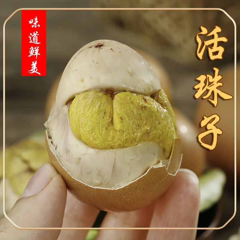 五香香辣13天活珠子鸡胚蛋喜蛋香辣钢化蛋毛鸡蛋原味整箱批发即食