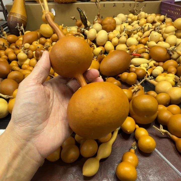 陌*默墨子墨的一把酸甜葫芦