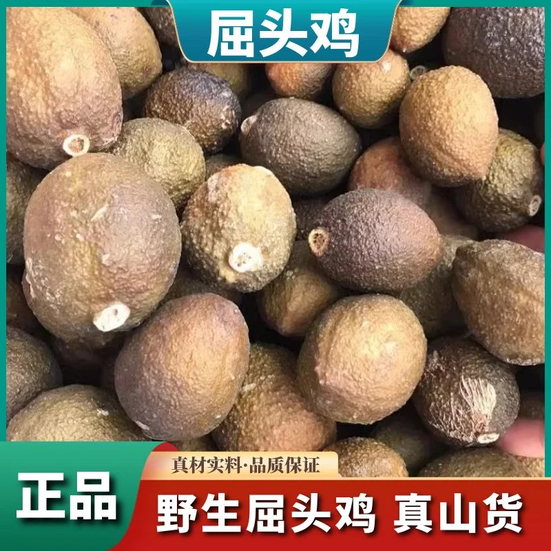 精选屈头鸡正宗老果水鸡头水鸡仔新鲜干货无硫包邮散装正品叶菜