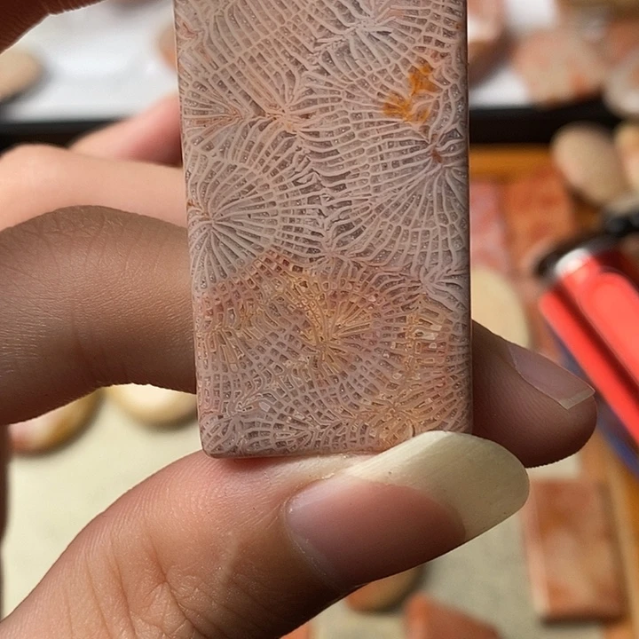 硅化玉颈饰未镶嵌玻****?