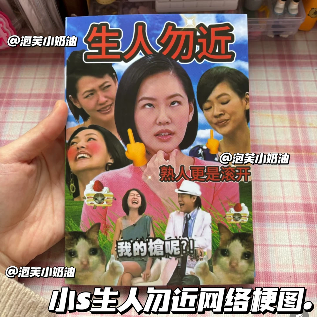 生人勿进小s网络梗图贴纸书diy梗王恶搞手账素材切膜贴纸装饰素材