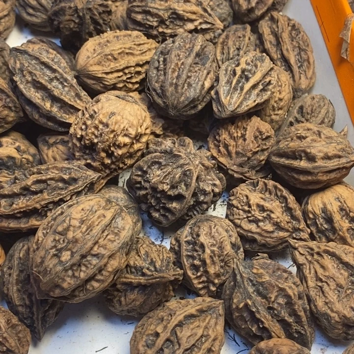吊坠文玩核桃东北特产42