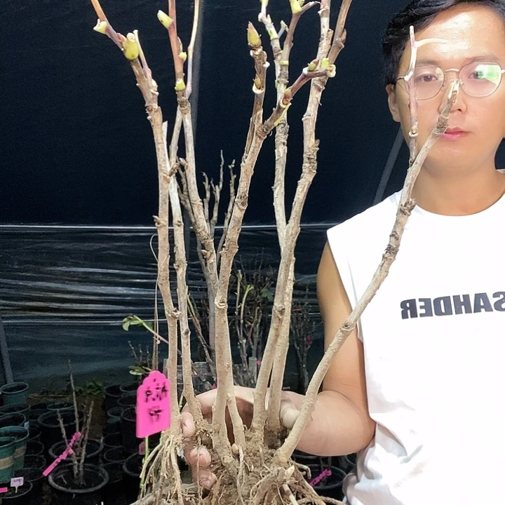 完全开放航***5首安红