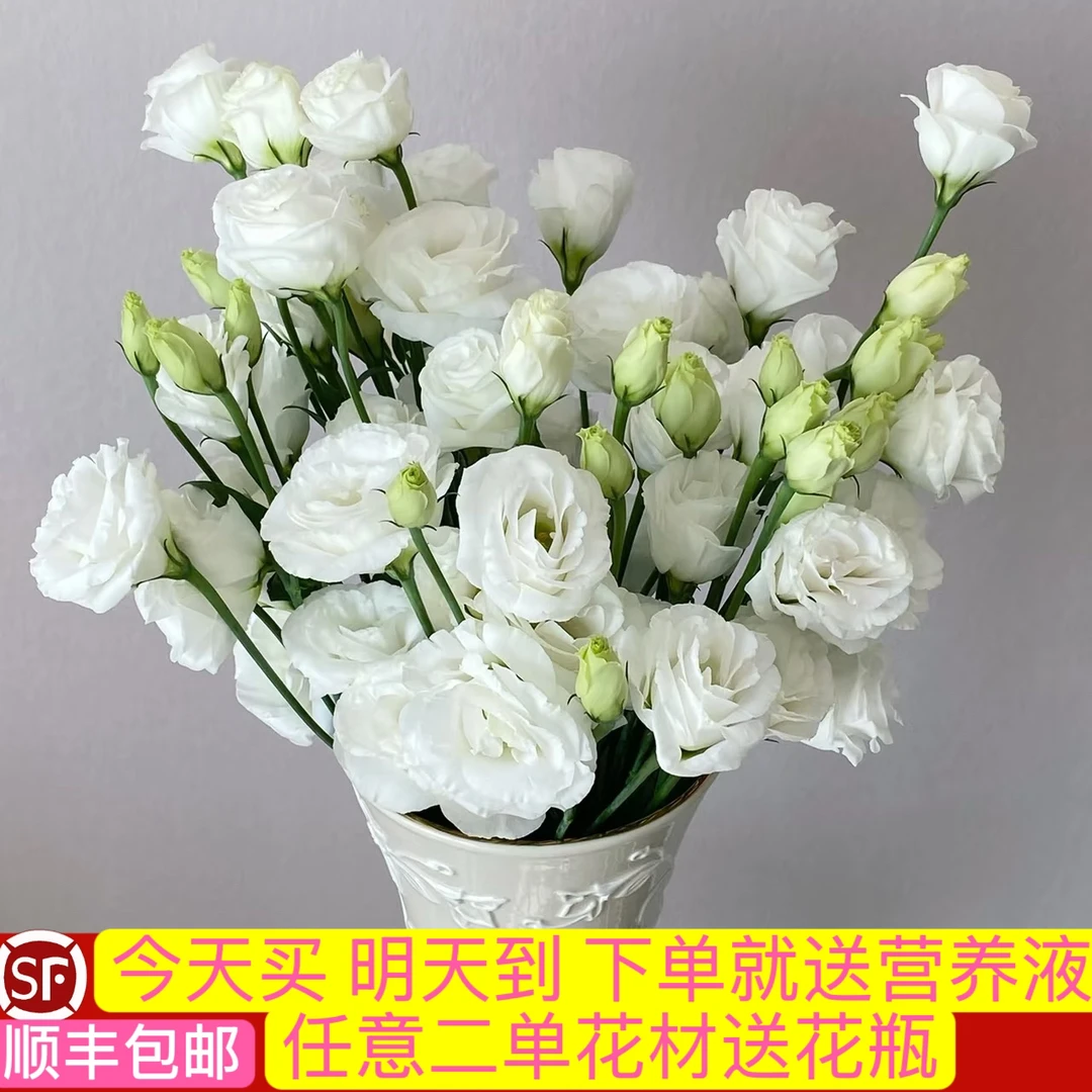 【次日达·白色洋桔梗2拼】家用生活云南鲜切花 瓶插花 DIY花束 任意花材两单送花瓶顺丰送花上门