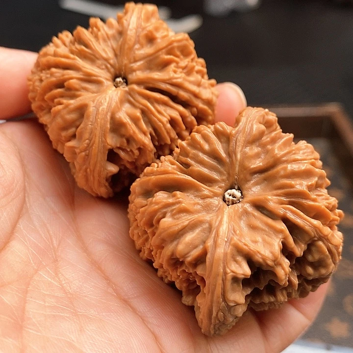 把件文玩核桃拉丝蚂蚁45尺