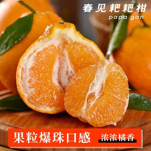 四川不知火丑橘耙耙柑果农新鲜现摘应季水果无籽无渣爆甜多汁橘子