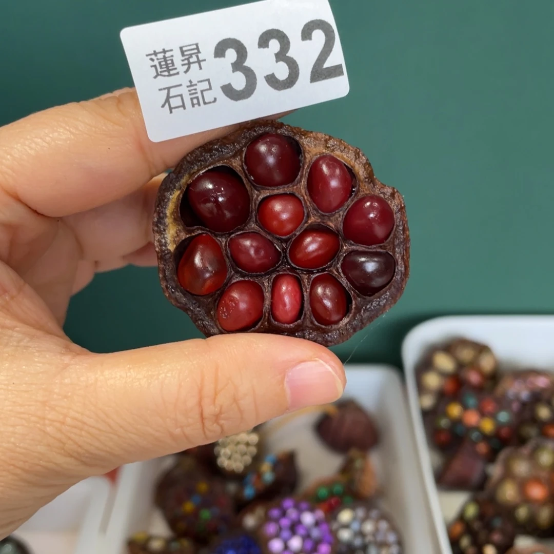 核桃木/黑胡桃（胡桃木）小**o332