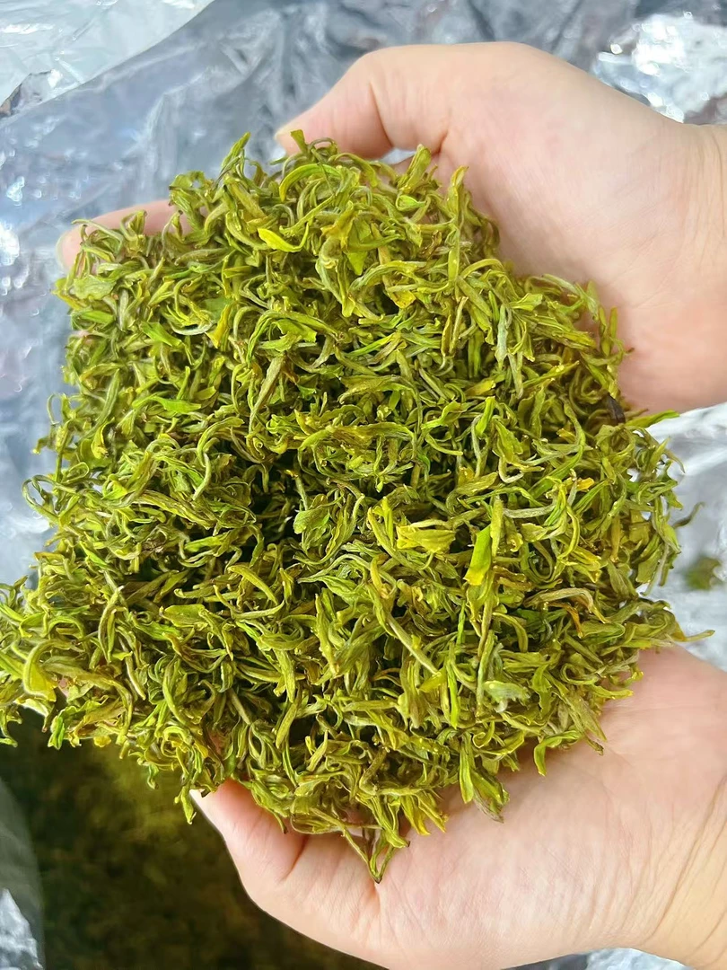 （聚雅严选好喝不贵）2025浓茶型奶香黄金芽高山绿茶新茶补贴款