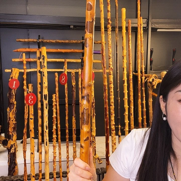 孙*空好好好好好好好好