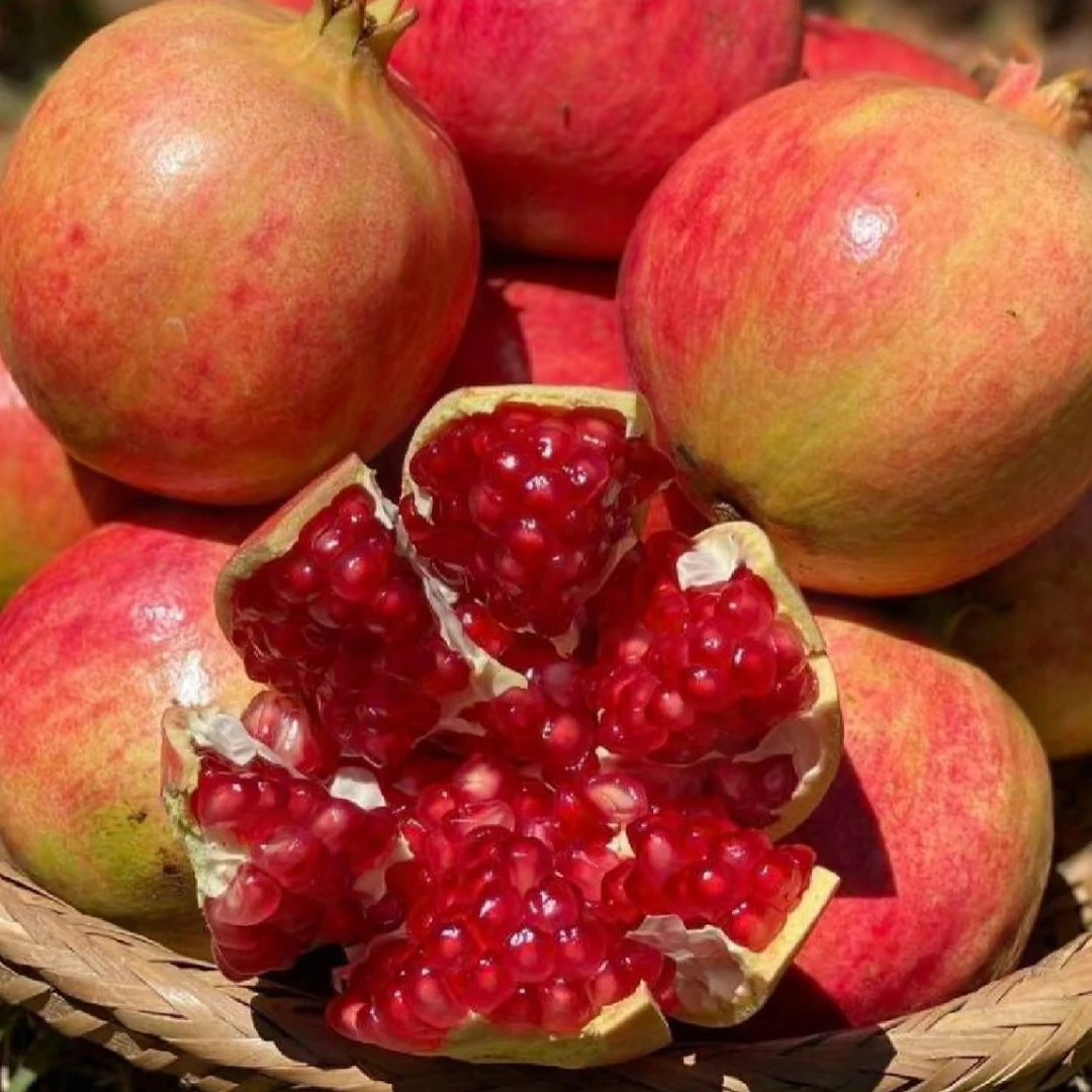 会理软籽石榴5斤装（个个带彩）