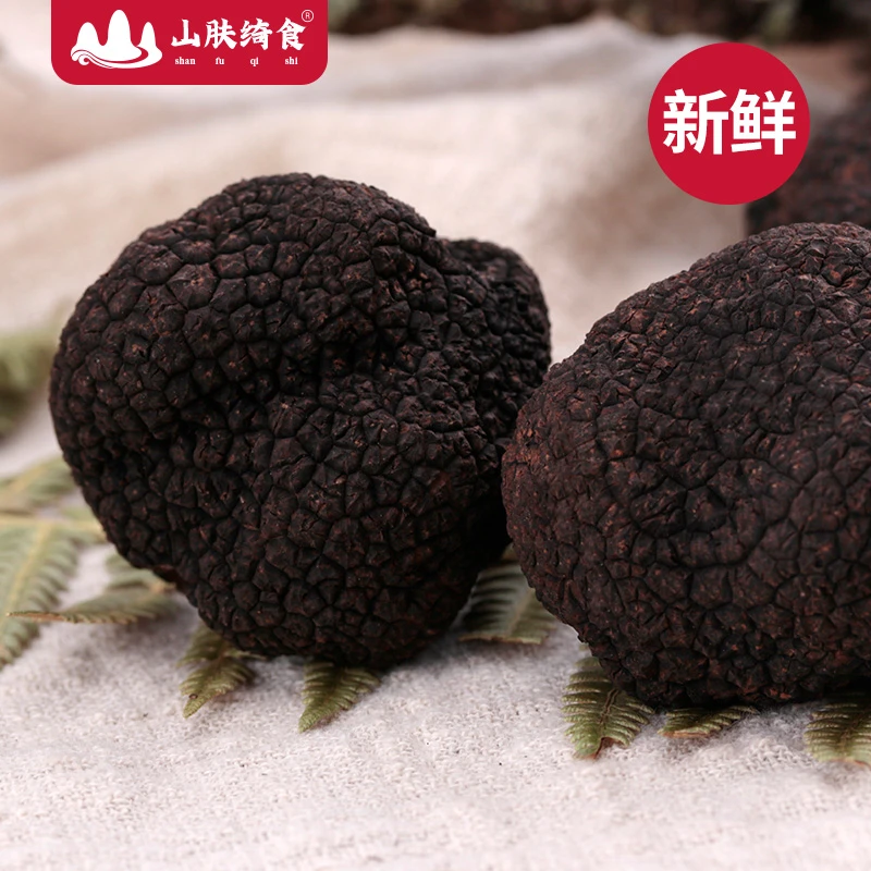 【新鲜夏松露】黑松露野生菌5CM大个云南菌子高黎贡山块菌
