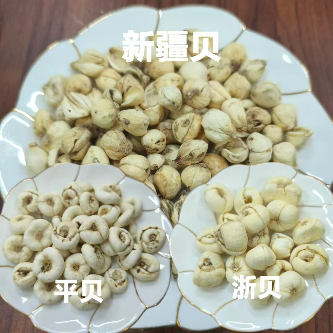 新疆贝母【七七推荐】
