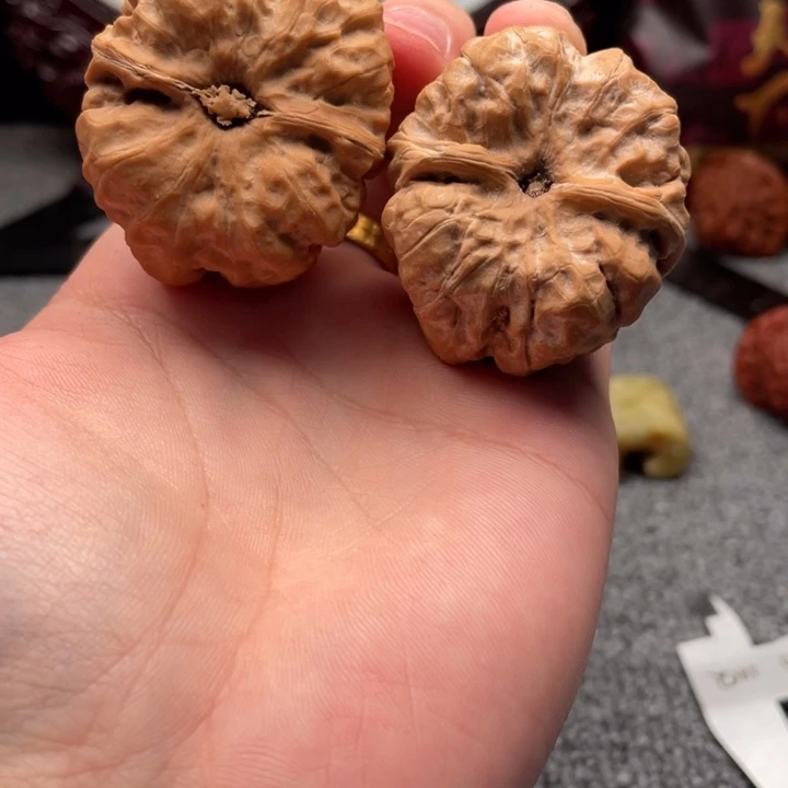 红***胜大叶紫檀（黑酸枝木类）C21