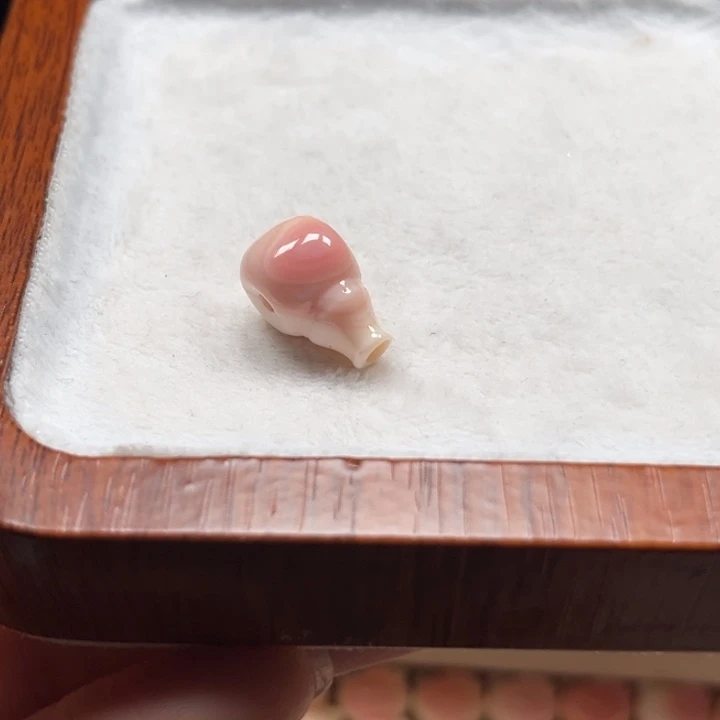 奥***娜手串/手链贝壳粉贝三通