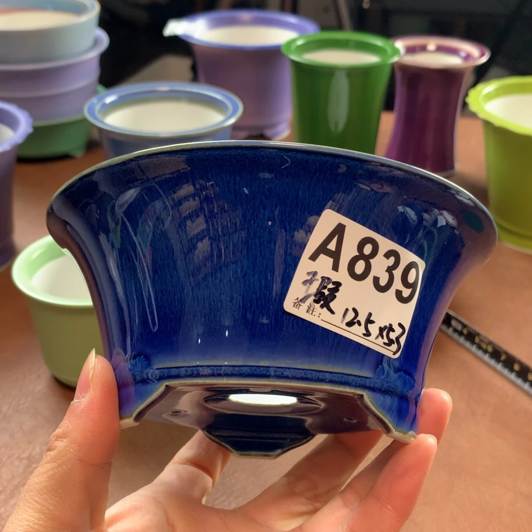 红陶花了多少时间可以