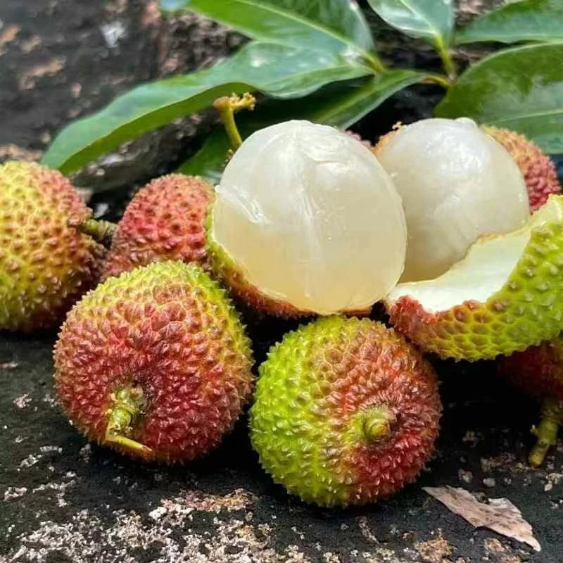 晓智严选海南妃子笑荔枝头茬新鲜核小肉厚2.5/5斤净