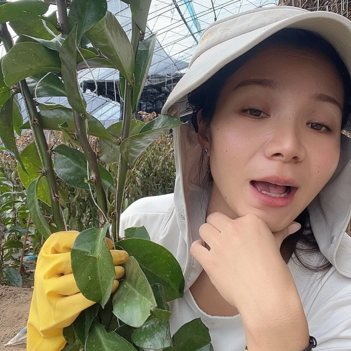 诗***方格外加083哈哈哈哈噶