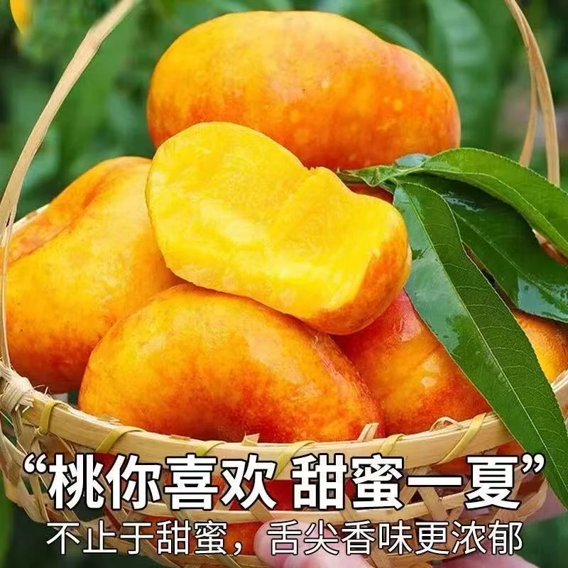 【粉丝专属】山东蒙阴彩虹油蟠桃现摘现发软硬两吃香甜多汁新鲜水果