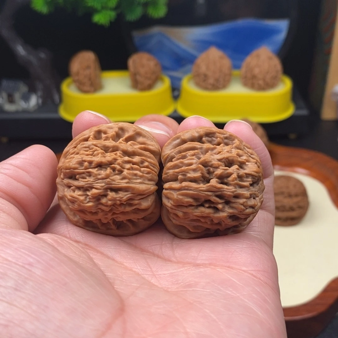 无***么核桃全品四座楼38