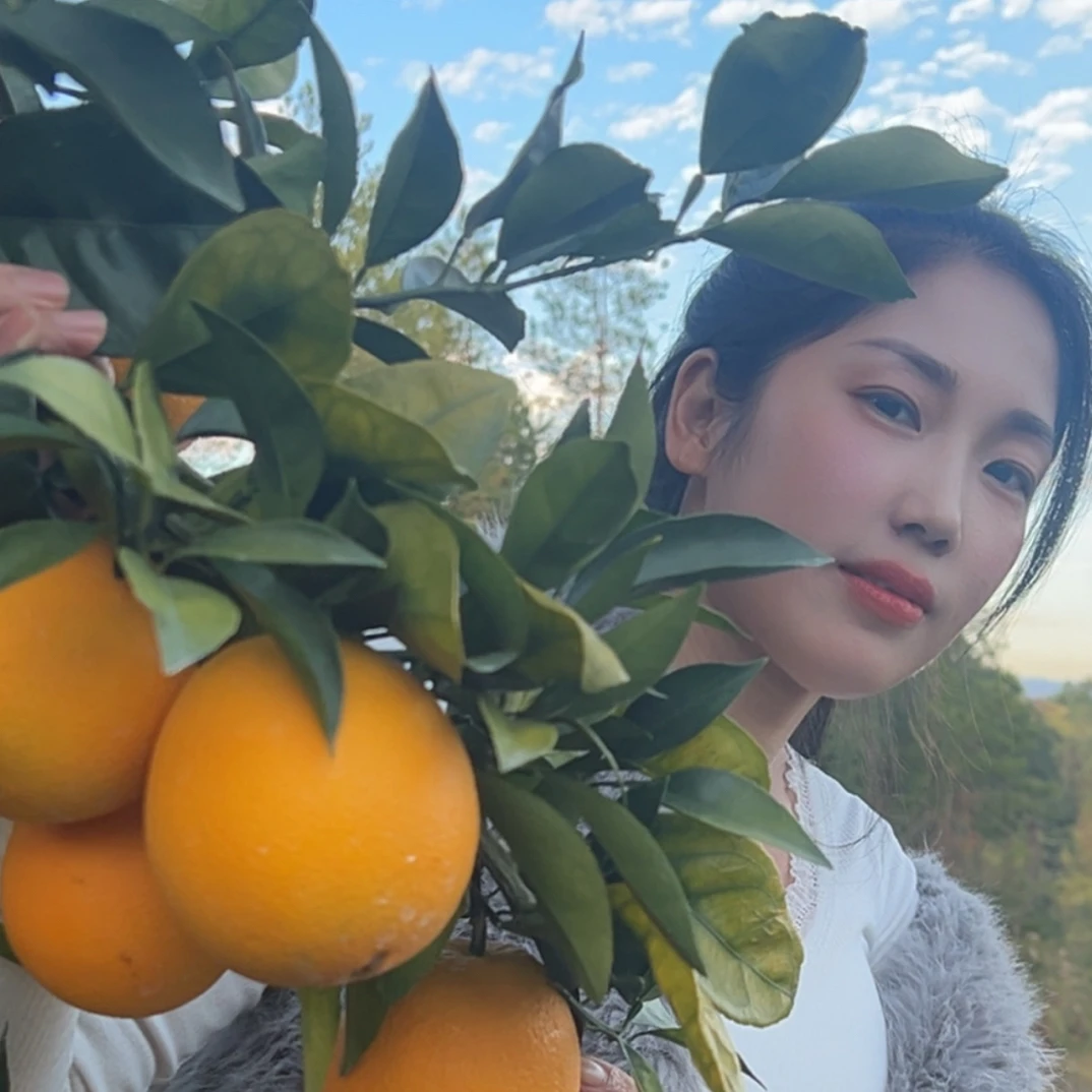 正宗赣南脐橙果园直发新鲜现摘应季水果皮薄肉厚多汁