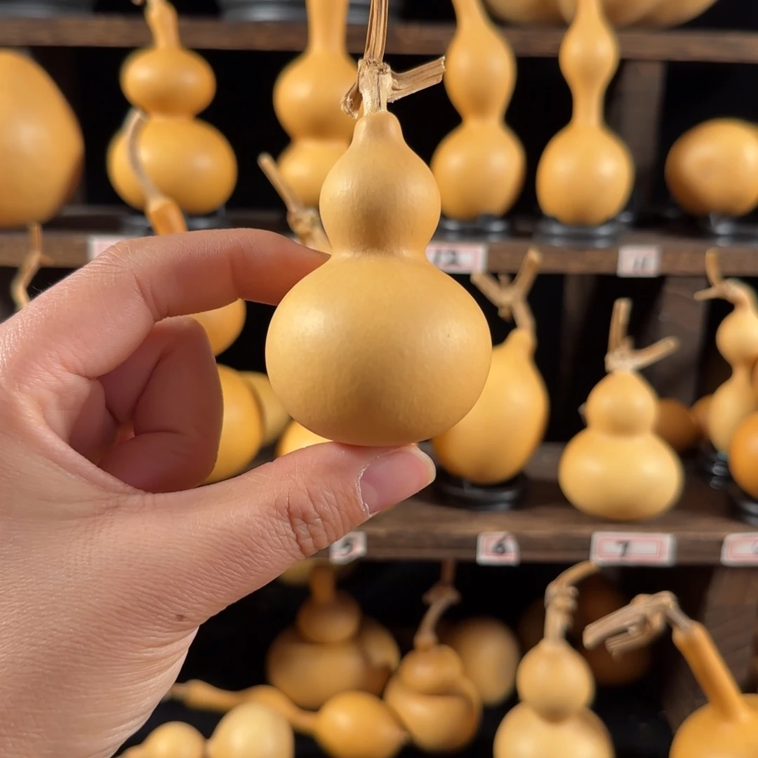 伟****点葫芦葫芦葫芦葫芦葫芦葫芦葫芦