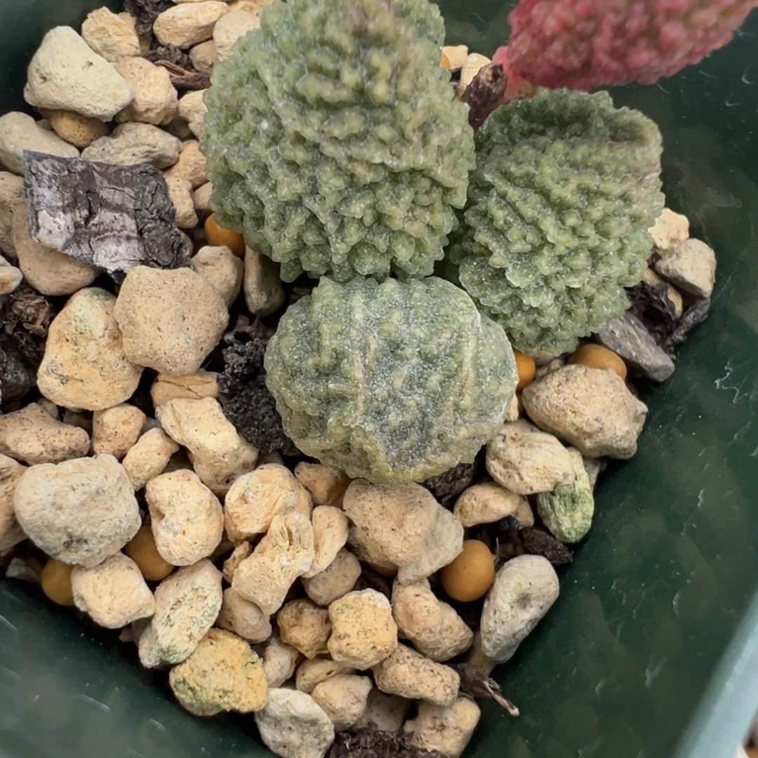 天***天93 号好看的水泡冲冲冲