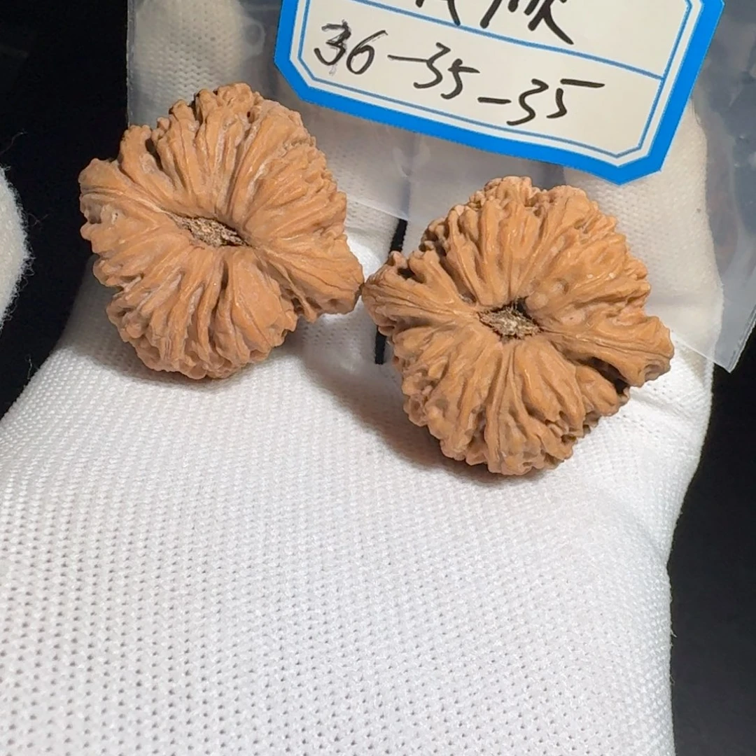 文玩核桃把件用****654号凹底色差